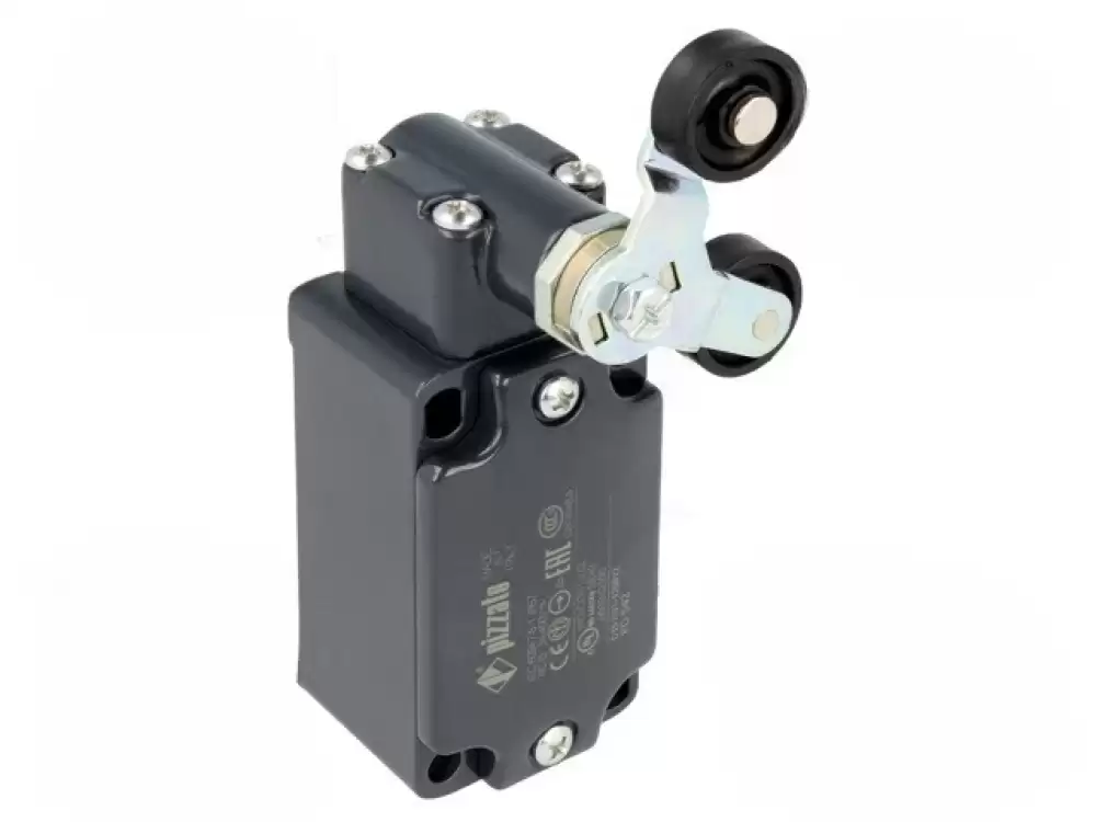 Limit Switch FD542