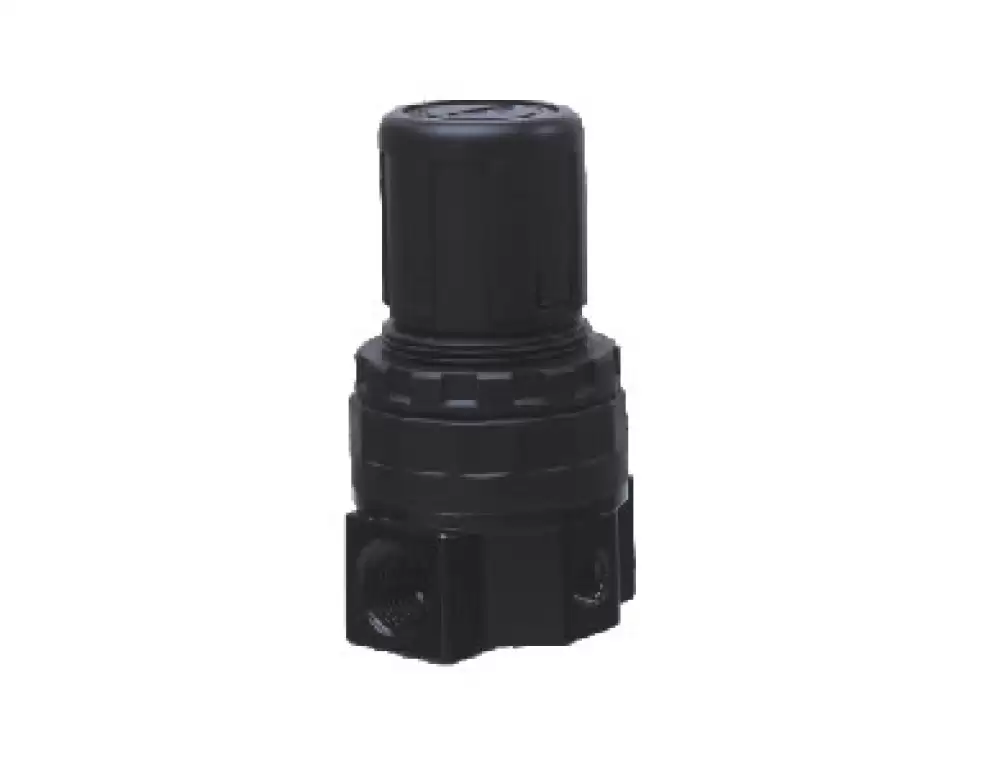 SR 200-08L Regulator