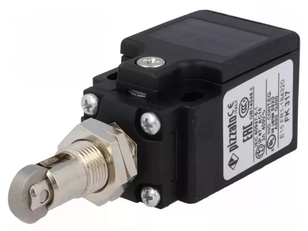 Limit Switch FK317