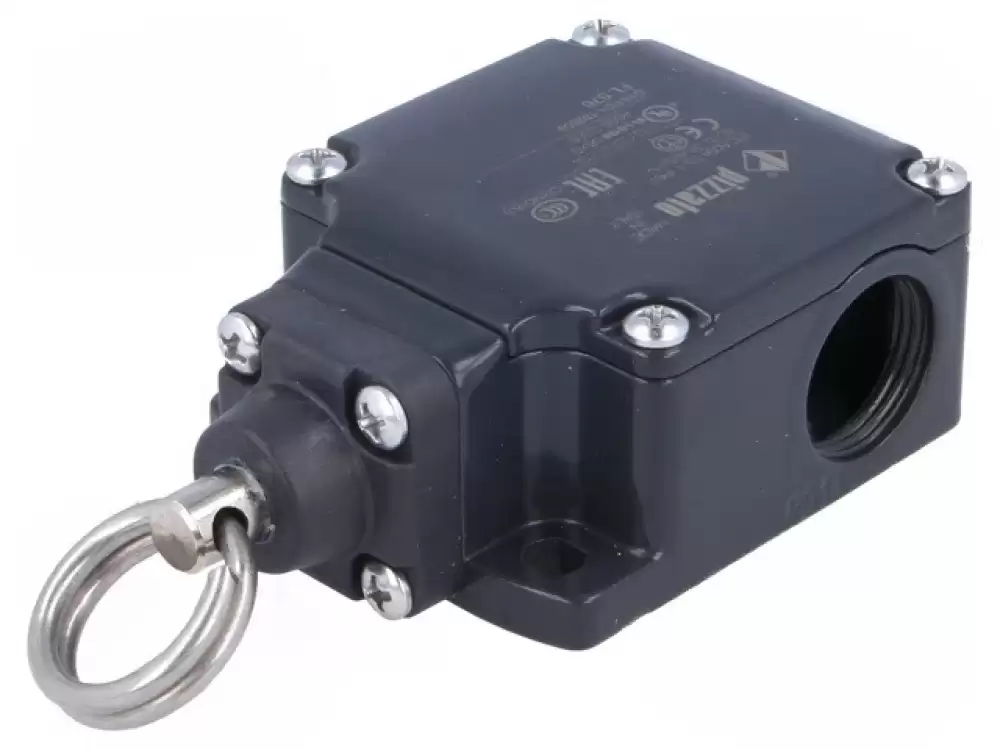 Limit Switch FL576